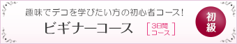 デコスクール：ビギナーコース[初級]